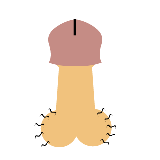 Baws_2_ya_Jaws's emblem