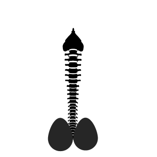 Drx06's emblem