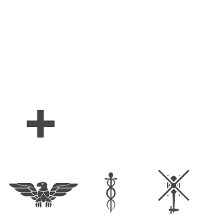SyKoTiC93's emblem