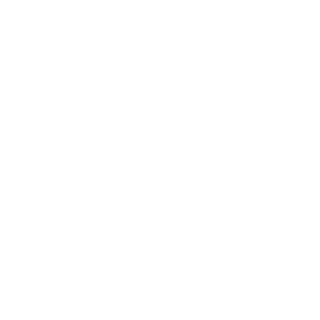 Reganico's emblem