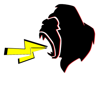 DocChickn's emblem