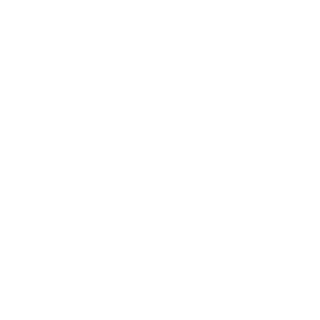 viN9898's emblem