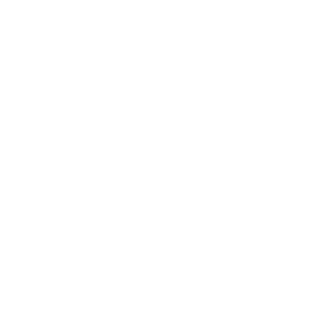 1DUNGA's emblem