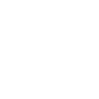 Aeroadv's emblem