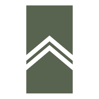 GabrielVorg's emblem