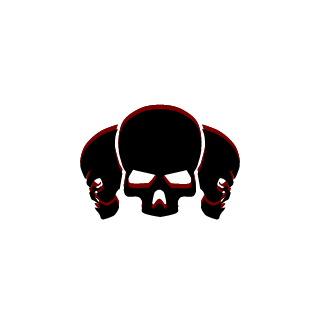 IlHeadHunterzlI's emblem