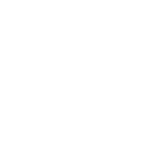 N3M3SiS_DE's emblem