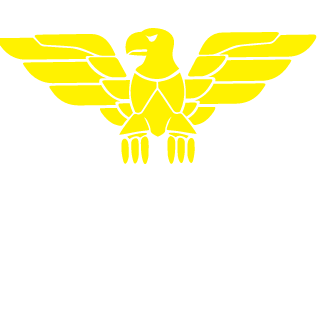 manapotion108's emblem