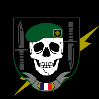 Section France's emblem