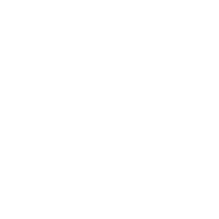 BRMPTNxCKTAIL's emblem