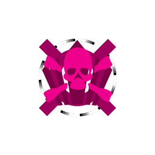 IXxPaladinxXI's emblem
