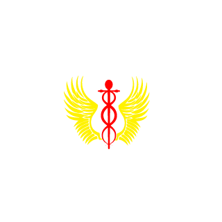 31be354c7520e9d3's emblem