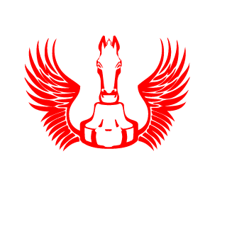 TNTCABUMM's emblem