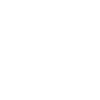 1Spartan305's emblem