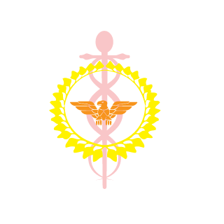 XxDJ_TiestoxX's emblem