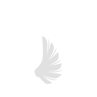 i1buono's emblem