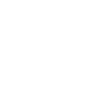 DatsunHero's emblem