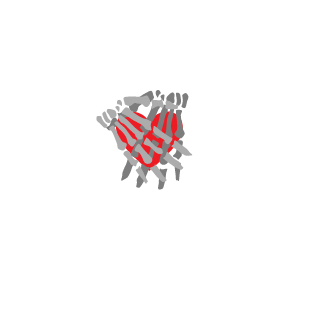 VeryBigBug's emblem