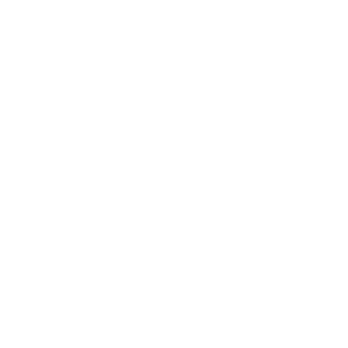 Ryal_Zeitgeist's emblem