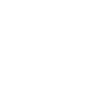 Ant0r's emblem