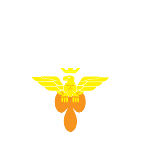 0KIR0's emblem