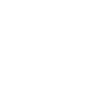 Gandhi80's emblem