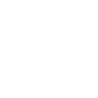 NoZooM-NoCuM's emblem