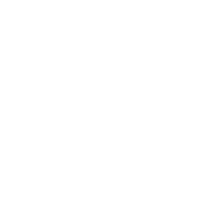 pvdsantos's emblem