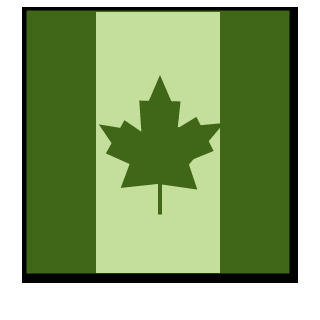 iTzNourx's emblem