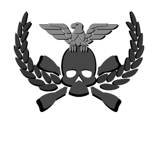 VerdugoNoirePL's emblem