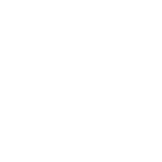1-506Ranger's emblem