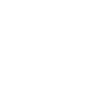 29054's emblem