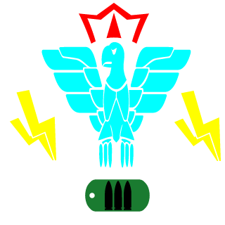 terryFox90arg's emblem