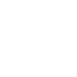 GER-StreetJunky's emblem