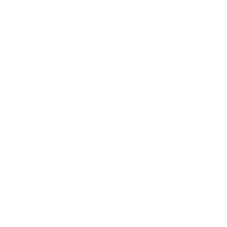 Ceiling_Sandlot's emblem