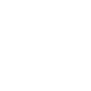 DerMetzger91's emblem
