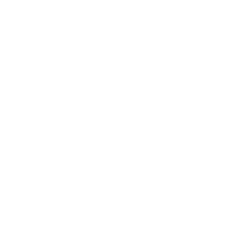 BloopBucket's emblem