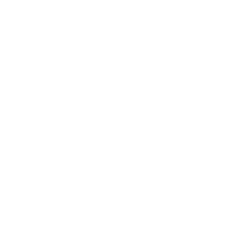 Emanuelm666's emblem