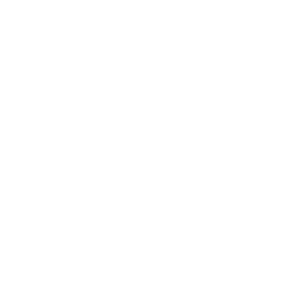 T0rm4's emblem