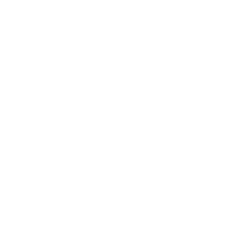 Past3miX's emblem
