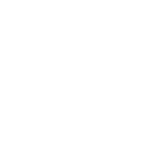 Lee-Enfield_1902's emblem