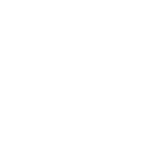 playfordayz's emblem