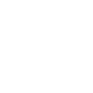 5thLegionnaire's emblem