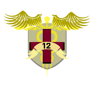 LostBear12's emblem