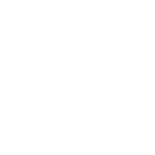 13esG's emblem