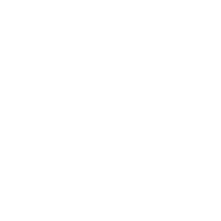 fd2029dcb12e89fc's emblem