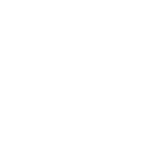 eNichGameChanneL's emblem