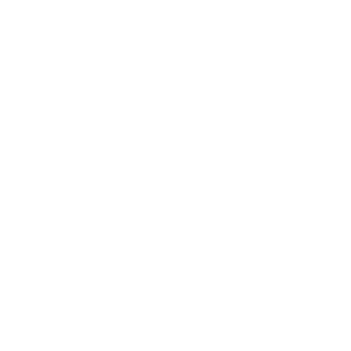 BudgetTracer's emblem