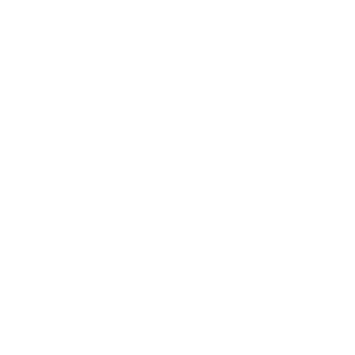 NOVA BRINER's emblem