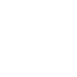 1-_-nitronix-_-1's emblem